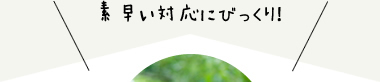 素早い対応にびっくり！